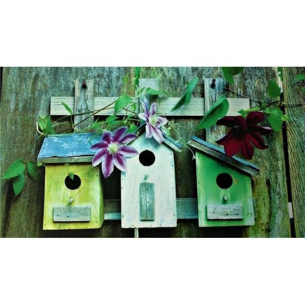 Custom Printed Rugs Custom Printed Rugs DM 68 Bird Houses Non Slip Indoor Door Mat; 27 x 18 in. DM 68 - main